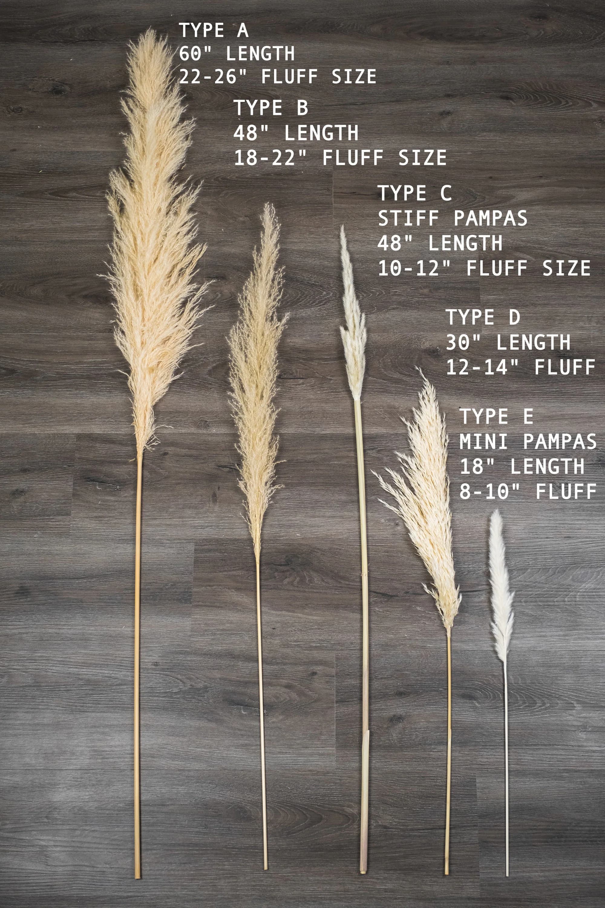 1 Piece Natural Pampas Grass/Assorted Sizes/Home Decor/Rustic Wedding Decor/ Brown Pampas/ Ivory Pampas/ Natural Pampas/
