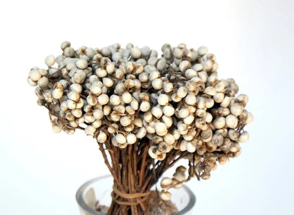 6" White Tallow Berries Bundle/Sprays/Fall Sprays/Orange/Yellow/Faux Spray/Autumn Decor/Holiday Decor/Fall Decor/Thanksgiving Decor