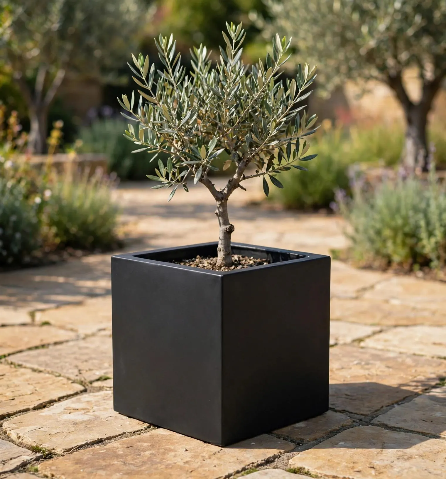 Fiberstone Square Pot Black 12x12 Inch | Modern Cube Planter | Garden Pot
