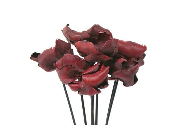 7PC Red Palm Cups/Curly Twigs/Branches/Centerpiece decor/ Decoration Branches/Gold Branches/Glitter Branches/Silver Branches