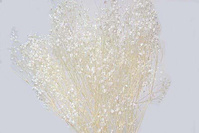 28" Dried White Gypsophilia/Baby Breaths/Fall/Thanksgiving/Table Setting/Home Decor/Faux Decor/Decoration/Fall Season/Indoor Decor/Bleached