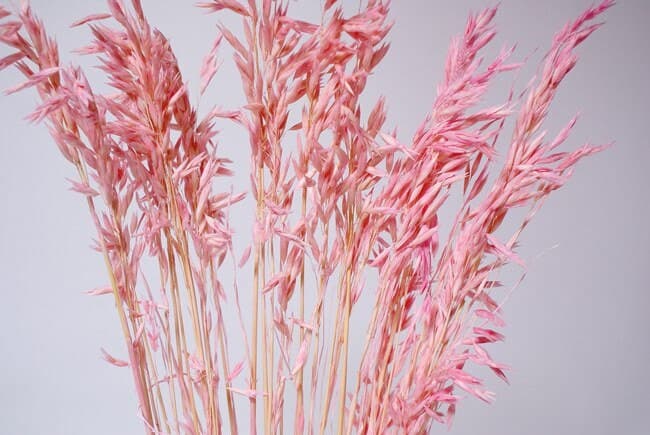 28" Pink Avena/Fall/Thanksgiving/Table Setting/Home Decor/Faux Decor/Faux Decoration/Fall Season/Indoor Decor/Artificial/Decor