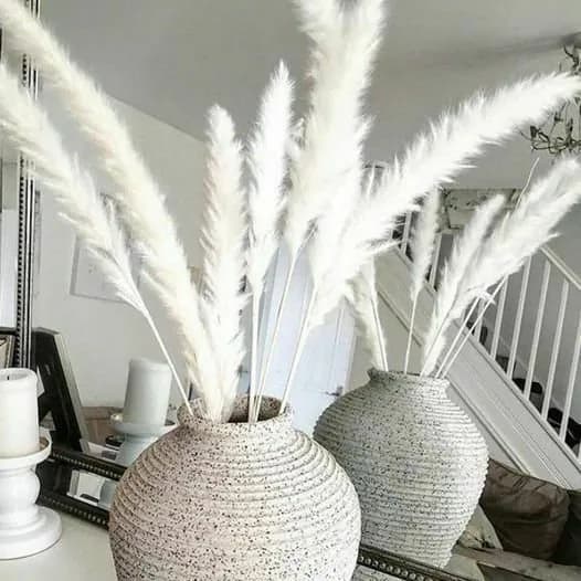 6-12-24-48-60pc 23" MINI White Pampas Grass/Assorted Sizes/Home Decor/Rustic Wedding Decor/Blush Wedding/Blush Pampas/Light Pink Pampas/