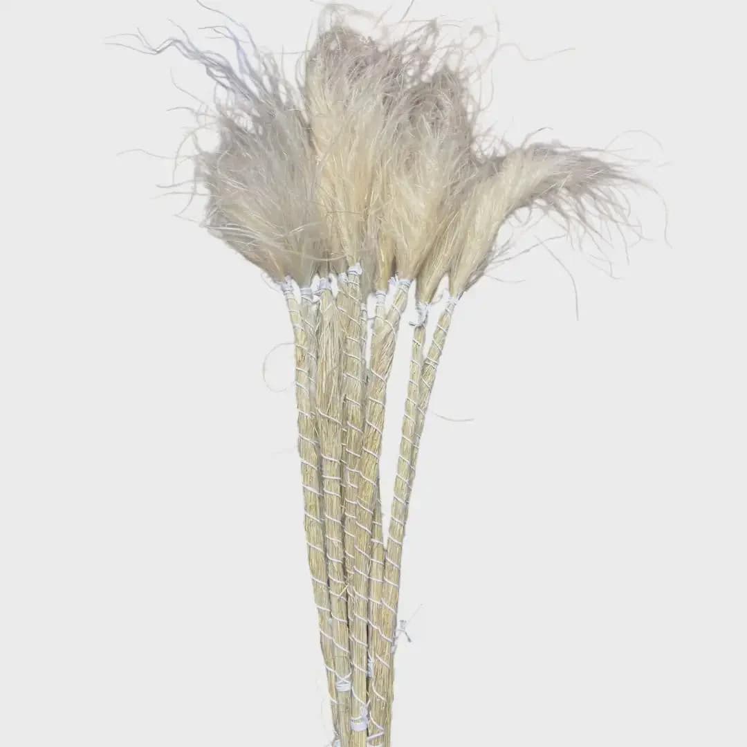 26" Stipa Pennata Tuffs Large Grass/Branches/Centerpiece decor/ Winter wonderland/Decoration Branches/Gold Branches/Home Decor