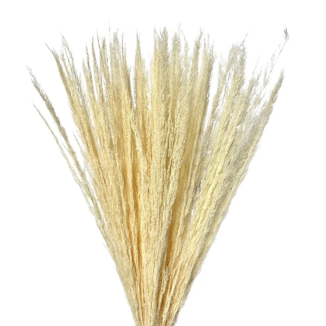 30" Vintage Grass/Assorted Sizes/Home Decor/Rustic Wedding Decor/ Brown Pampas/ Ivory Pampas/ Natural Pampas/