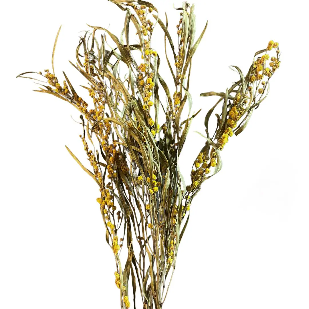 14" Natural Mimosa Stems/Fall/Thanksgiving/Table Setting/Home Decor/Faux Decor/Faux Decoration/Fall Season/Indoor Decor/Artificial