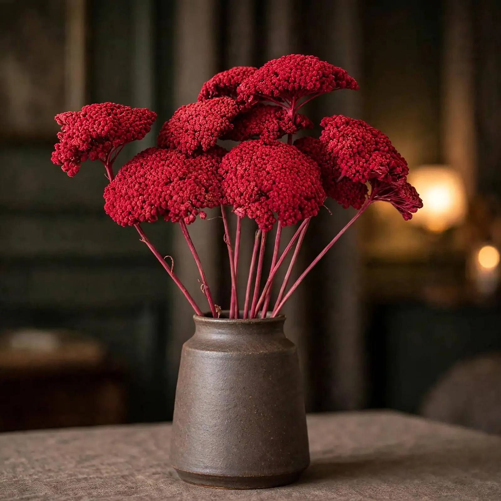 Achillea Parker Red 22 Inch | 10 Stems | Dried Flowers for Arrangements