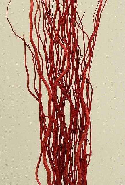 RED Willow Natural Branch/Curly Twigs/Branches/Centerpiece decor/ Winter/Decoration Branches/Branches/Glitter Branches/Silver Branches