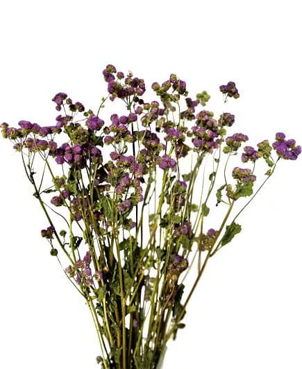 17" Purple Ageratum/Fall/Thanksgiving/Table Setting/Home Decor/Faux Decor/Faux Decoration/Fall Season/Indoor Decor/Artificial