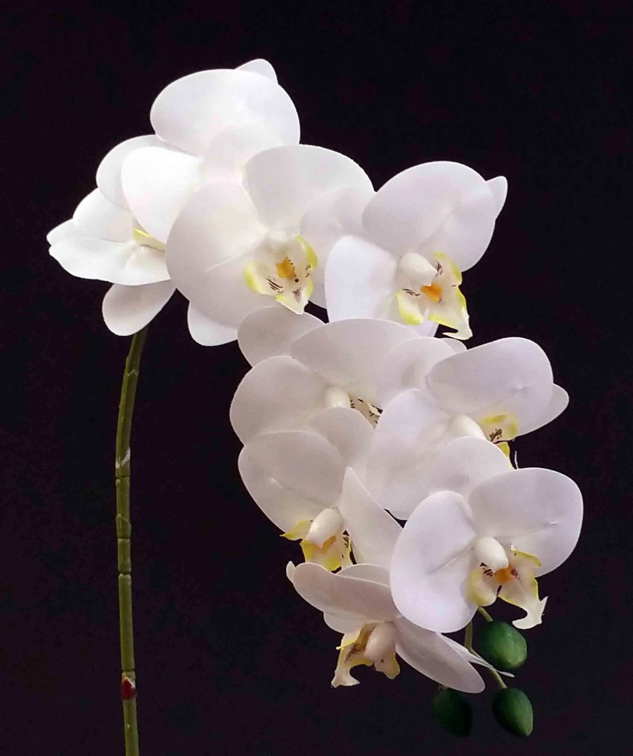 32" Real Touch White Phalaenopsis Orchid/Floral Wedding/Greenery/Wedding Centerpieces/Home Decor/Faux Vines/Silk Vines/Garlands