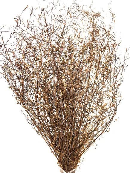 30" Natural Whispy Grass/Home Decor/Faux Flowers/Silk Flowers/Spring Wedding/Summer Wedding/Rustic/Branches/Vase Filler/Faux Decor