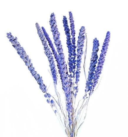 26" Lilac Setaria/Dried Floral/Branches/Centerpiece decor/ Decoration Branches/Gold Branches/Glitter Branches/Silver Branches