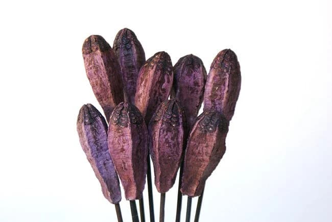Purple Mahogony Pods on Sticks/Curly Twigs/Branches/Centerpiece decor/ Decoration Branches/Gold Branches/Glitter Branches/Silver Branches