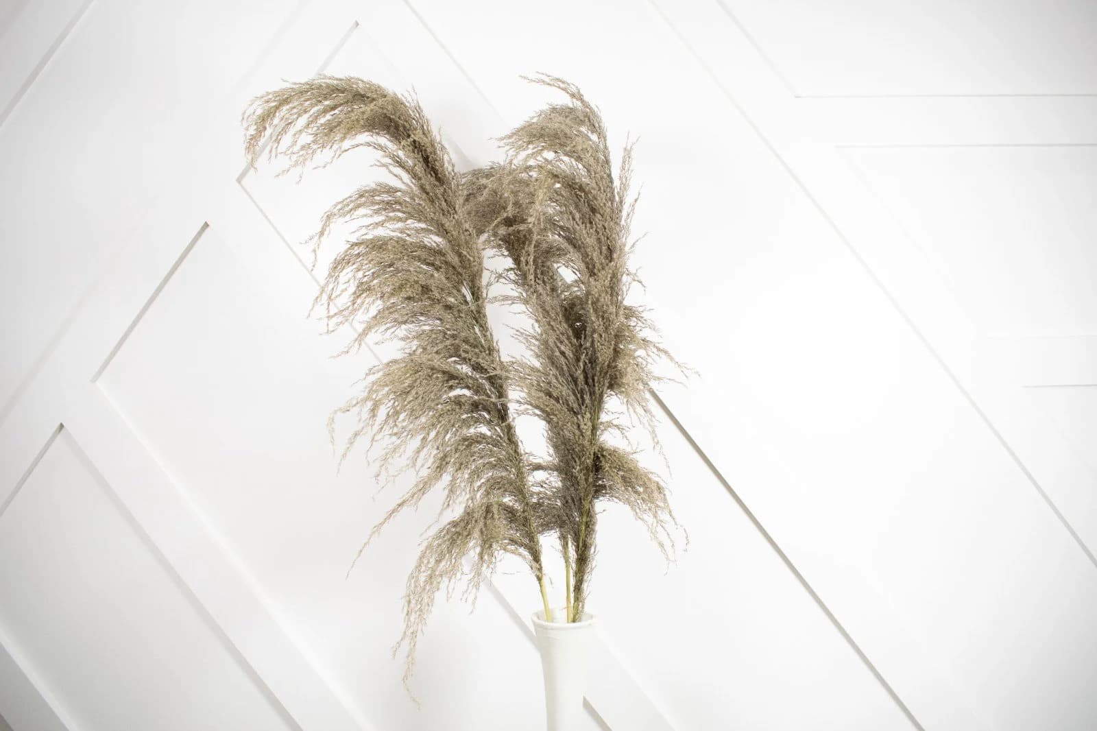 New 1 Piece NATURAL Brown Pampas Grass/Assorted Sizes/Home Decor/Rustic Wedding Decor/ Brown Pampas/ Ivory Pampas/ Natural Pampas/