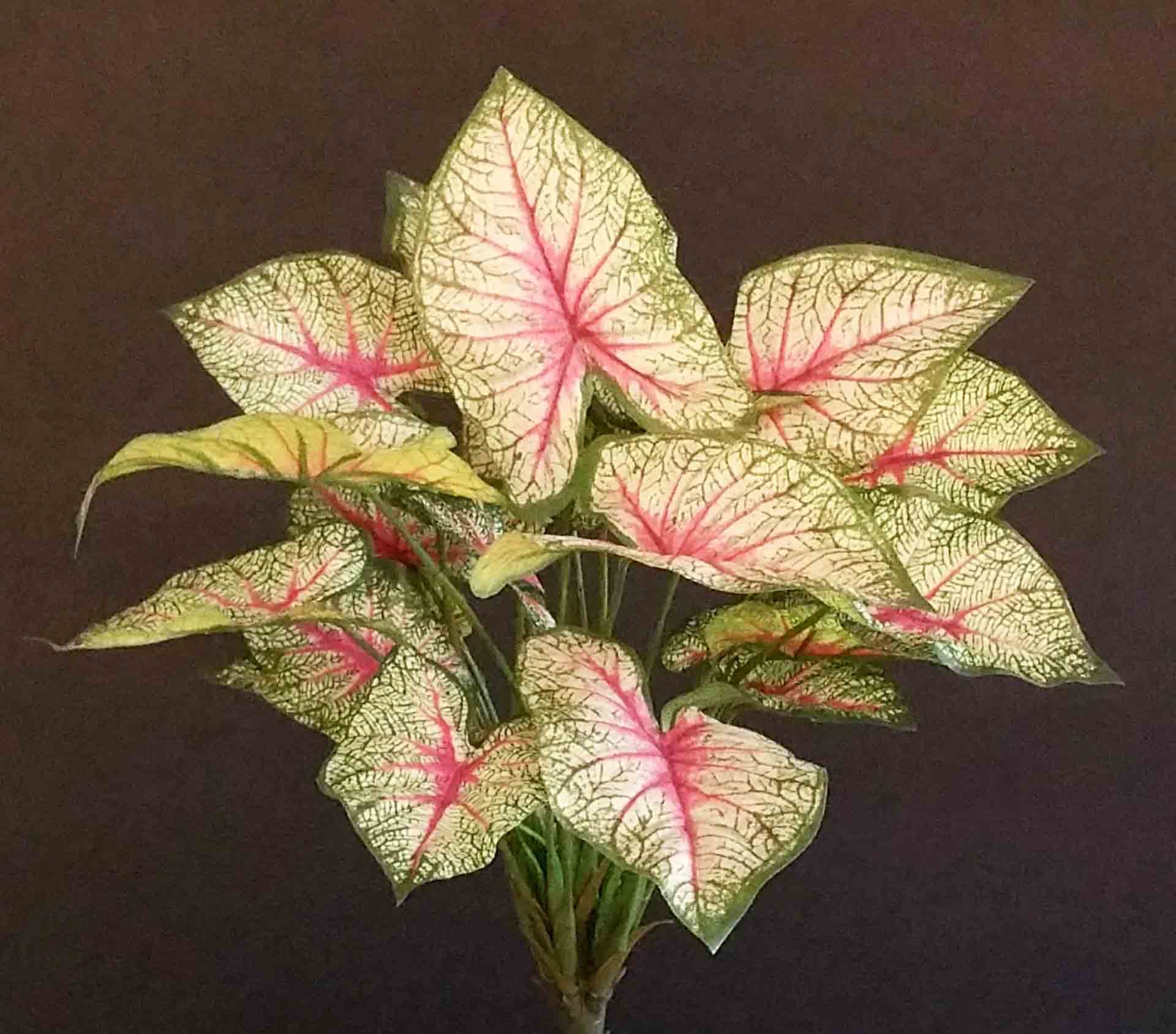 13" Real Touch Caladium Plant/Sprays/Greenery/Succulents/Terrarium Decor/Wedding Centerpieces/Home Decor/Faux Flowers/Silk Flowers