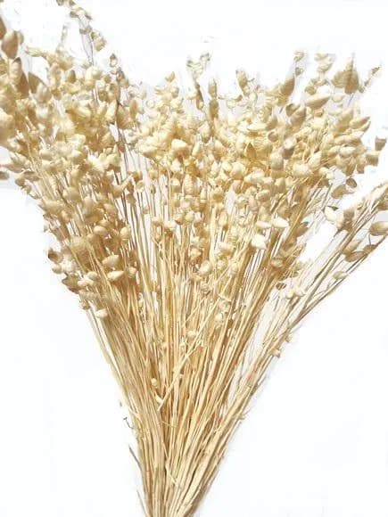 23" Bleached Briza Maxima/Fall/Thanksgiving/Table /Home Decor/Faux Decor/Faux Decoration/Fall Season/Indoor Decor/Artificial/Decor