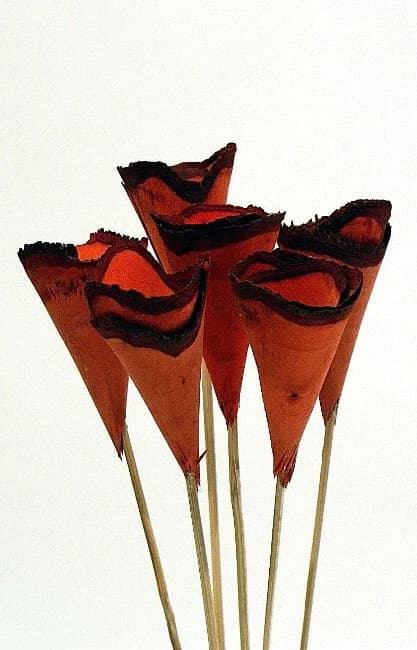 6PC Orange Wood Cones/Cones/Pine Cones On Sticks/Rustic Decor Idea/Rustic Bowl Filler/Home Decor/Rustic Table Decor/Vase Filler