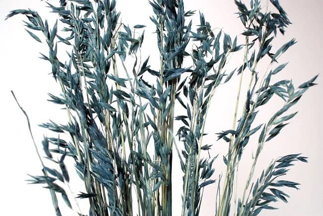 28" Pacific Blue Avena Wild/Fall/Thanksgiving/Table /Home Decor/Faux Decor/Faux Decoration/Fall Season/Indoor Decor/Artificial/Decor