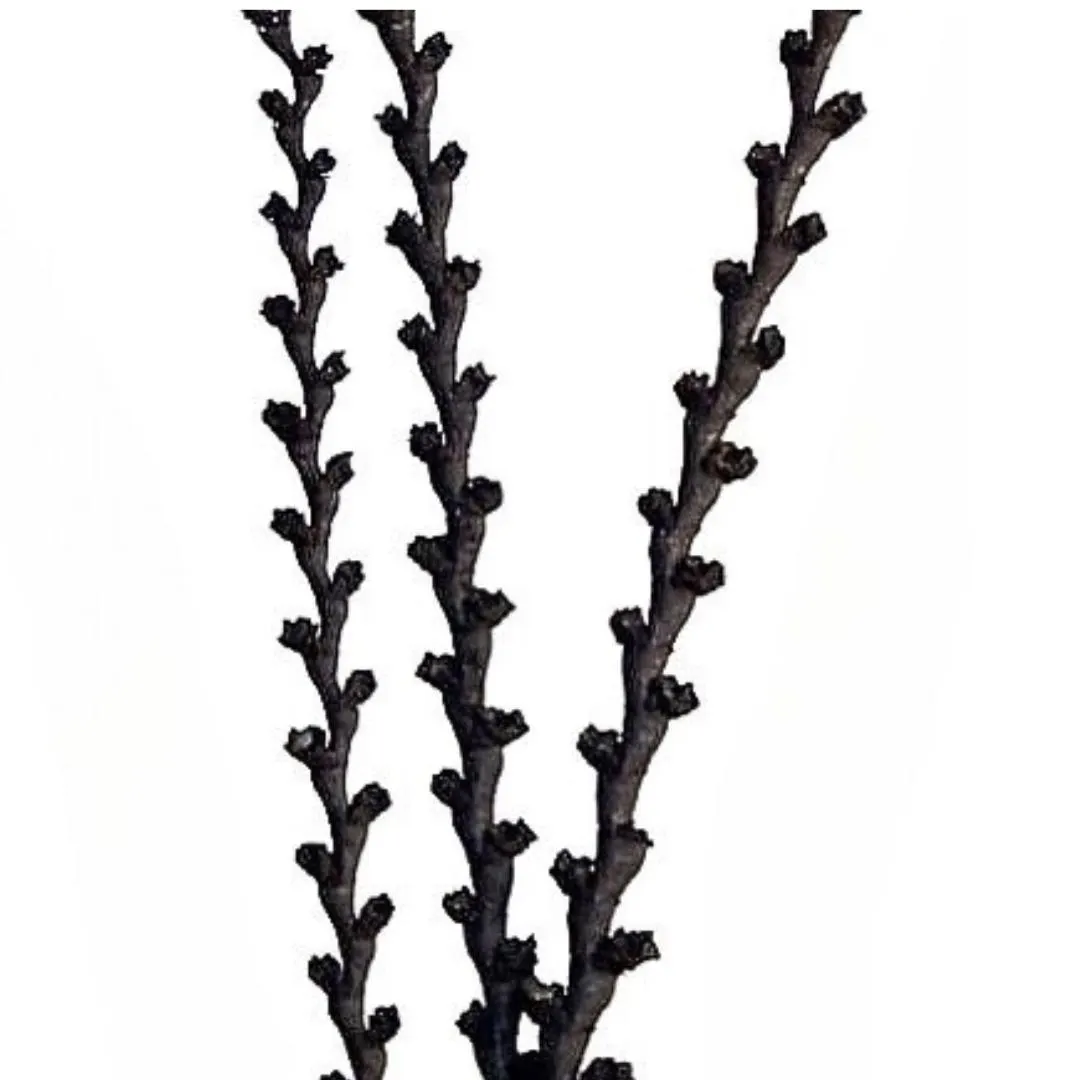 59" Black Buriti Sticks/Branches/Centerpiece decor/ Winter wonderland/Decoration Branches/Gold Branches/Black Branches