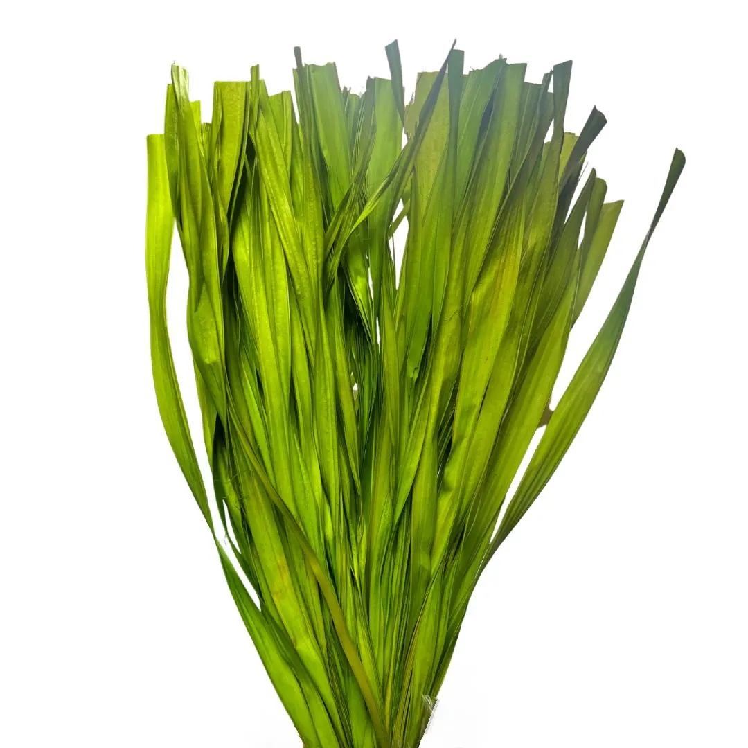 21" Lime Fire Grass/Home Decor/Faux Flowers/Silk Flowers/Spring Wedding/Summer Wedding/Rustic/Branches/Vase Filler/Faux Decor