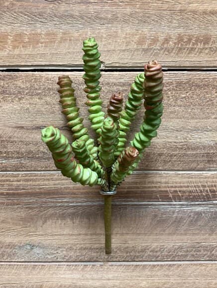 8" Hotten Tot Succulent Stem/Wedding Centerpieces/Home Decor/Faux Flowers/Silk Flowers/Flower Bouquet