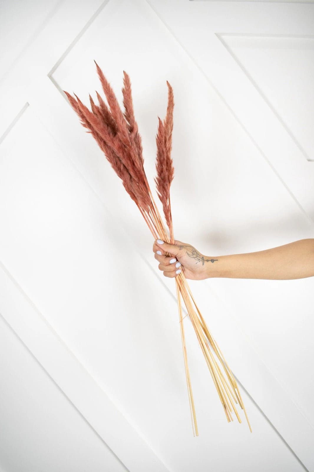 6pc MINI 30" Burnt Orange Pampa/Fall pampas Grass/Autumn Decor/ Home Decor/Wedding Decor/Orange Wedding/Mini Pampas/Wedding Decor
