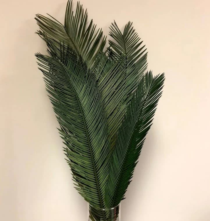 PALM LEAVES/Branches/Centerpiece decor/ Winter wonderland/Decoration Branches/Gold Branches/Silver Branches/ Yellow/ Green/ Brown