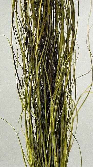 25" Brown Bear Grass/Home Decor/Faux Flowers/Silk Flowers/Spring Wedding/Summer Wedding/Rustic/Branches/Vase Filler/Faux Decor