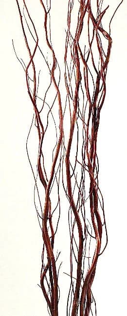 Brown Curly Willow Branch/Curly Twigs/Branches/Centerpiece decor/ Winter/Decoration Branches/Branches/Natural Willow/ Willow Branches
