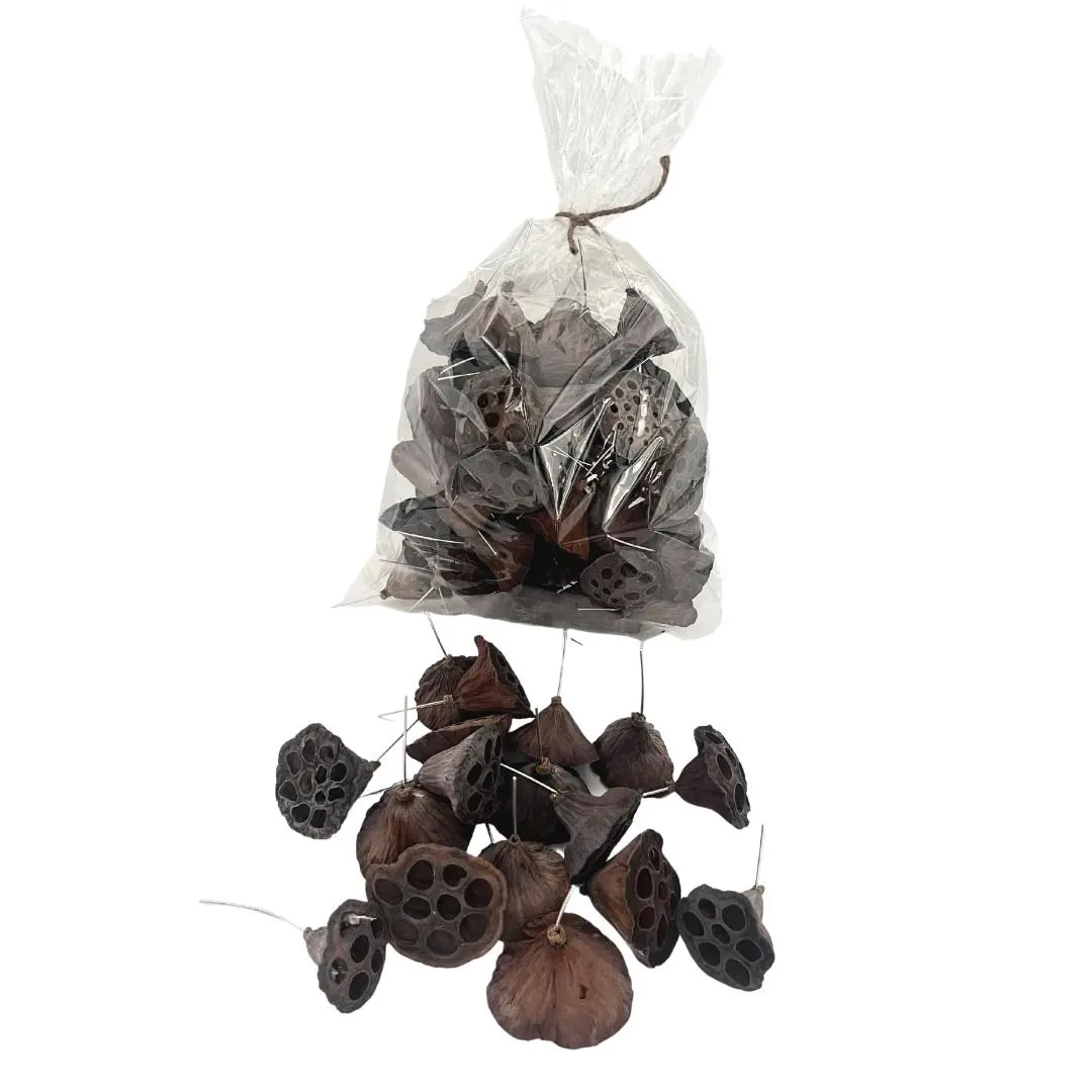 2-3" Lotus Pods Natural loose on Wire/Curly Twigs/Branch/Centerpiece decor/ Decoration Branches/Gold Branches/Glitter Branches/Silver Branch