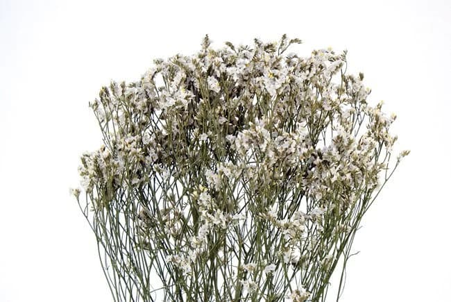 22" White Limonium Statice/Fall/Thanksgiving/Table Setting/Home Decor/Faux Decor/Faux Decoration/Fall Season/Indoor Decor/Artificial
