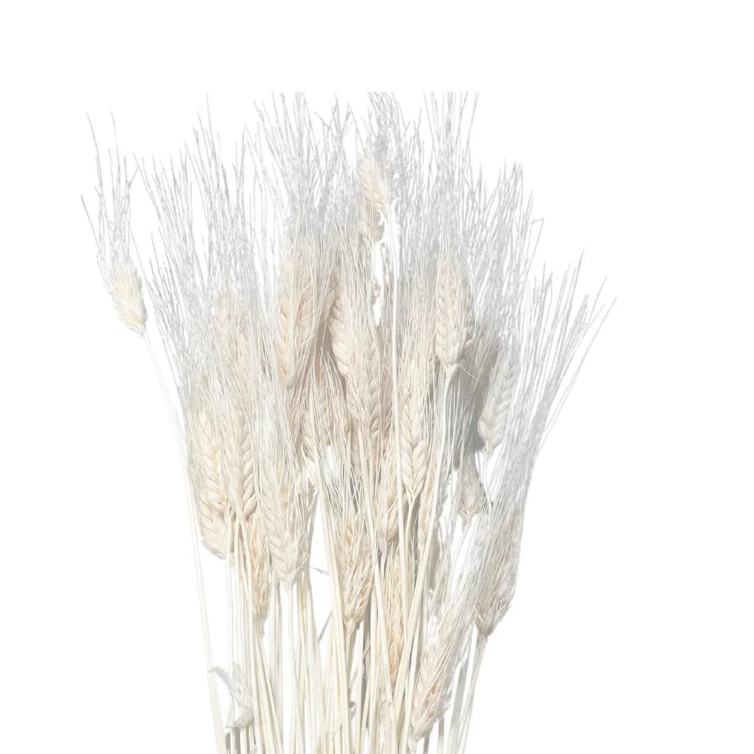 30" Bleached Wheat/Fall/Thanksgiving/Table Setting/Home Decor/Faux Decor/Faux Decoration/Fall Season/Indoor Decor/Artificial