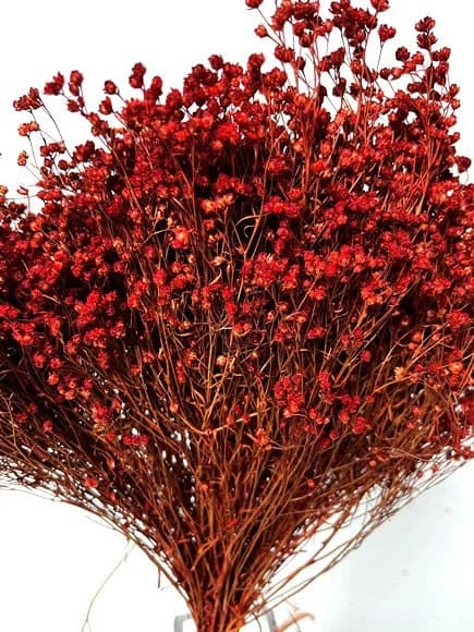 17" Red Broom Bloom/Fall/Thanksgiving/Table Setting/Home Decor/Dried Decor/Fall Season/Indoor Decor/Artificial