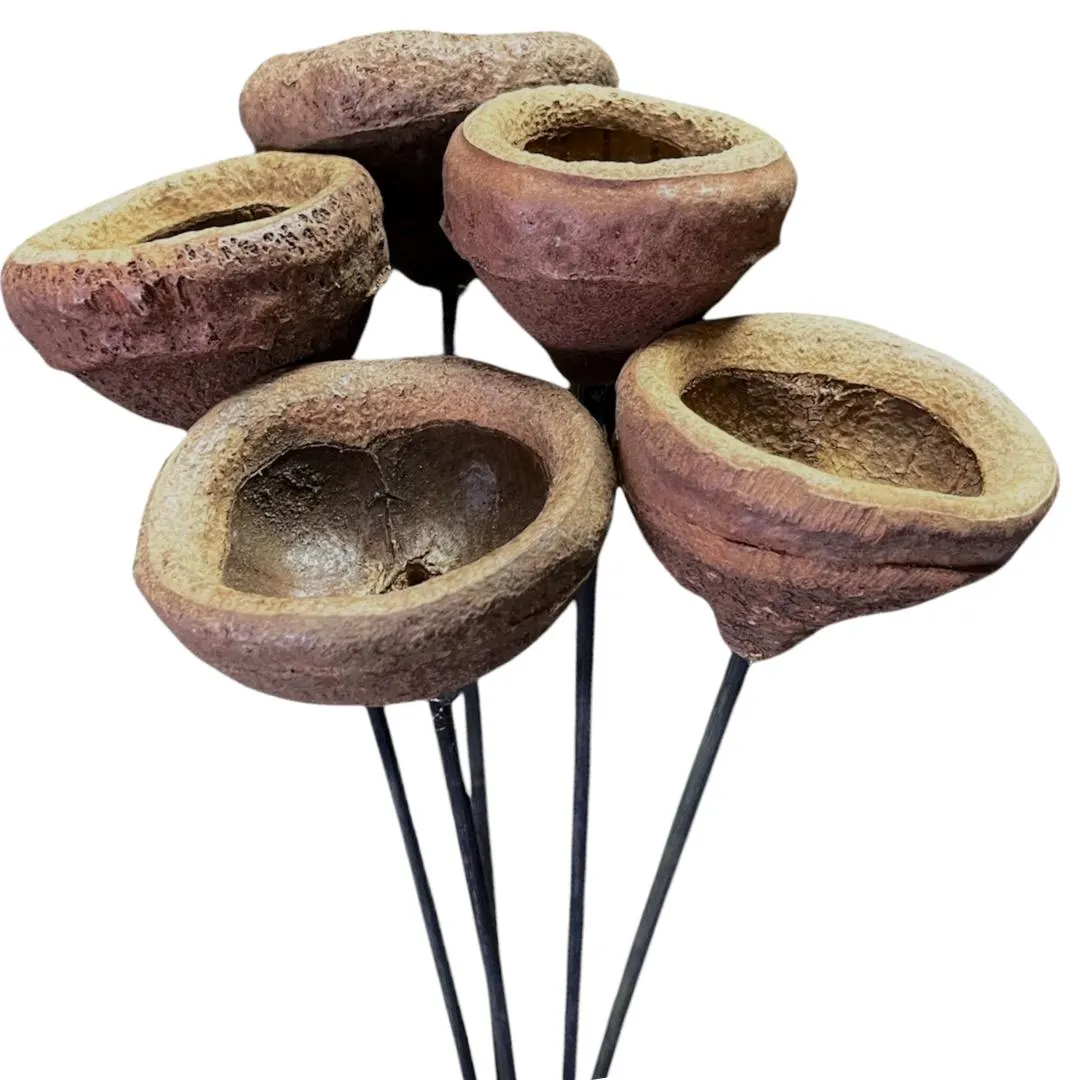 Natura Chapeuzihno Pods /Cones/Pine Cones On Sticks/Rustic Decor Idea/Rustic Bowl Filler/Home Decor/Rustic Table Decor/Vase Filler