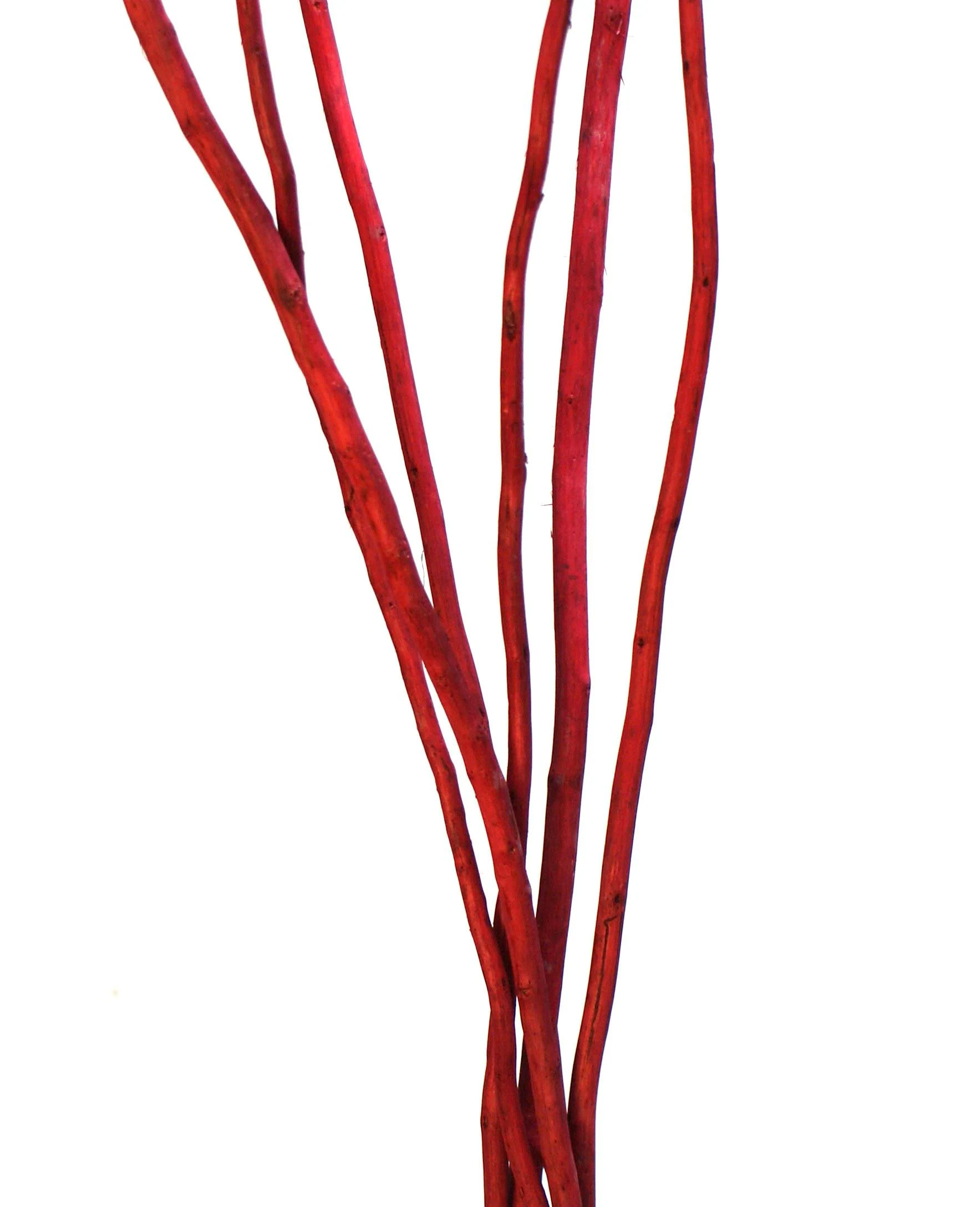 55" Red Kamboi Sticks/Willow Natural Branch/Branches/Centerpiece Decor/ Winter/Decoration Branches/Branches/Twig Branches