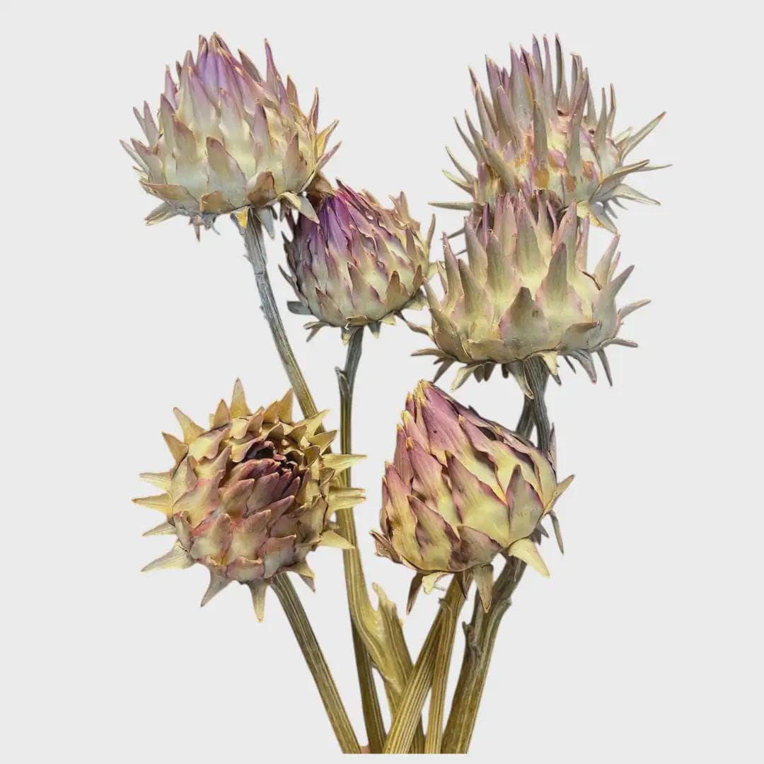 Pink Cardonni Artichoke on Stems/Cones/Pine Cones On Sticks/Rustic Decor Idea/ Filler/Decoration/Rustic Table Decor/Home Decor