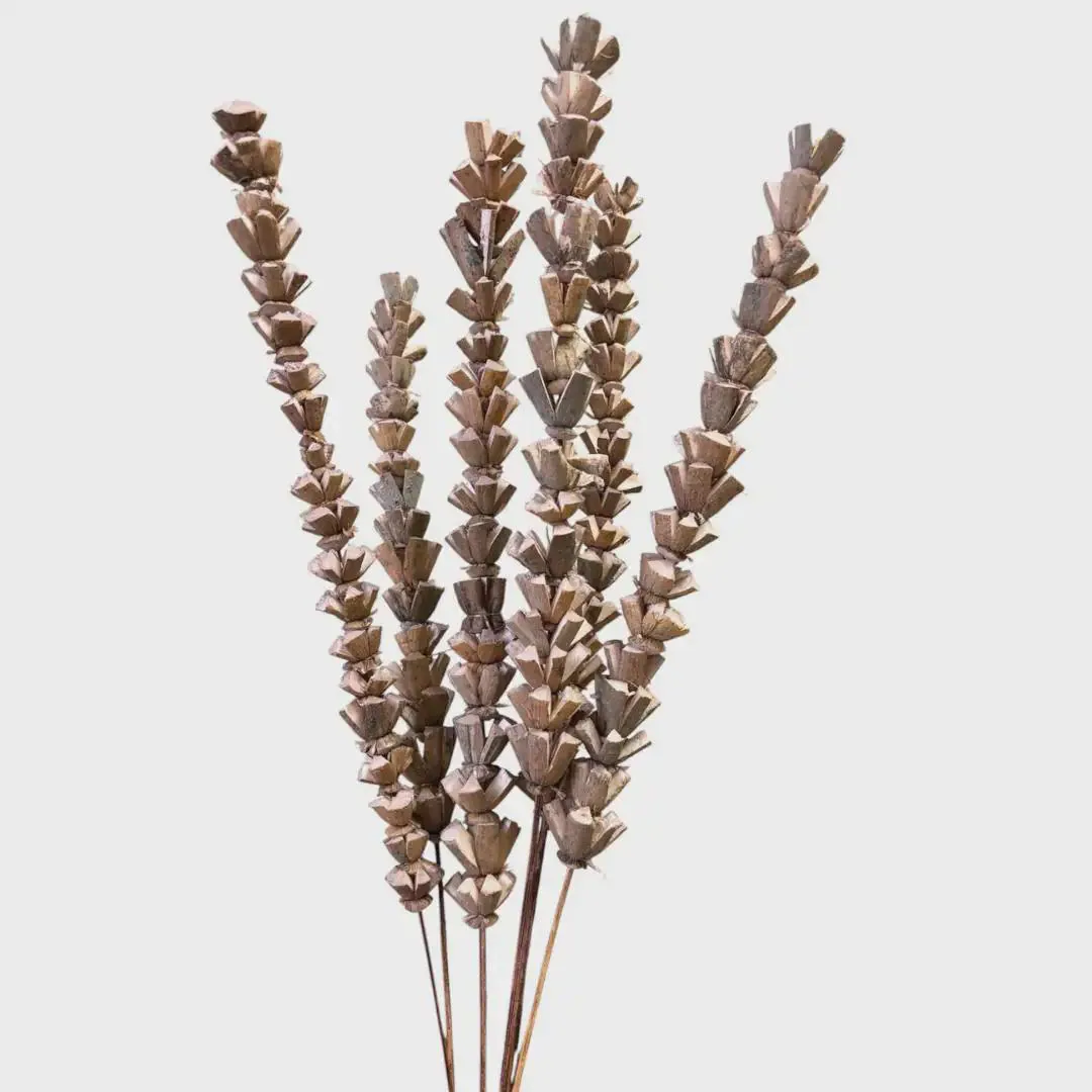 28" Mauve Sola Bakuli Sticks 6 Pk, Dried Floral Filler Stems, Dusty Purple Mauve Botanical Branch, Rustic Vase Filler, Fall Wedding Decor