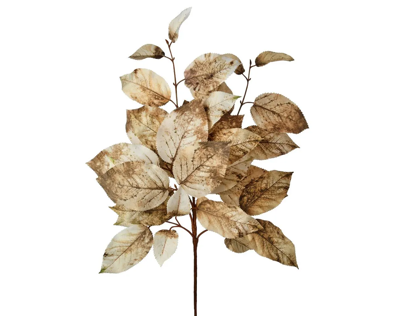 20" Cream Brown Salal Leaf Stem – Neutral Faux Autumn Greenery, Artificial Lemon Leaf Spray for Thanksgiving & Fall Home Decor