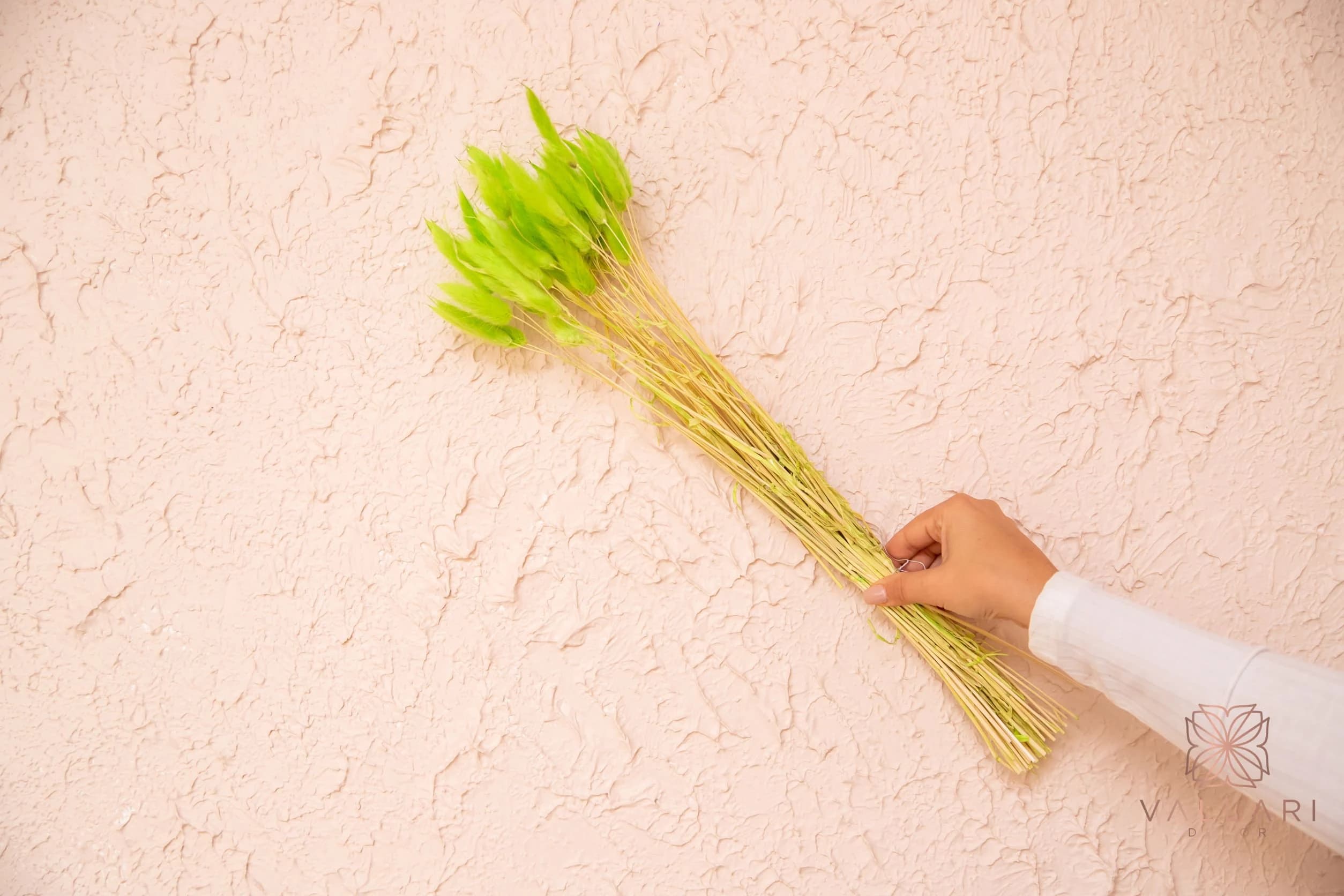 50PC Lime Green Bunnytails/Home Decor/ Rustic Wedding Decor/Dried Bunny Tail/ Ivory Pampas/ Natural Pampas/ 2.5ft Long Pampas