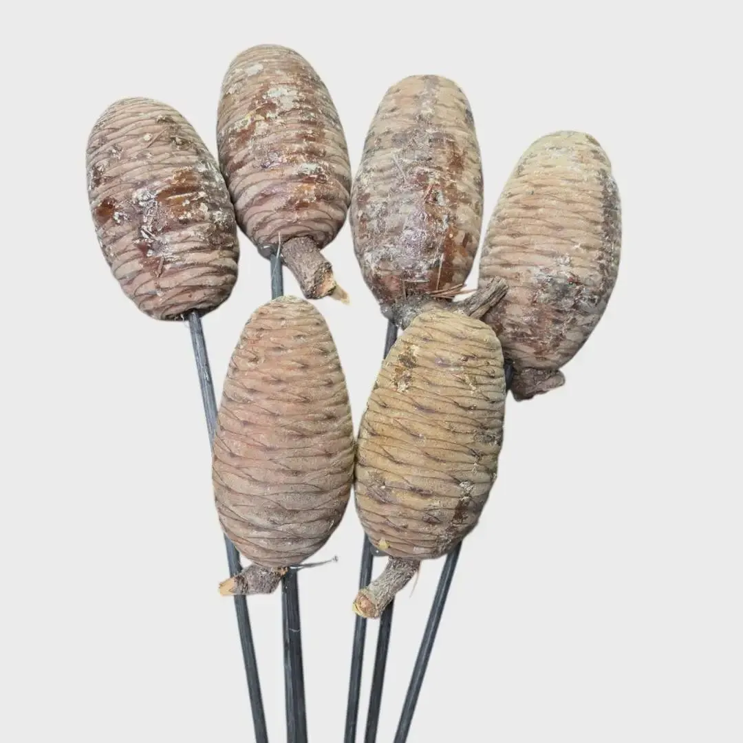 4" NATURAL Cedar Cones/Cones/Pine Cones On Sticks/Rustic Decor Idea/Rustic Bowl Filler/Wicker Decoration/Rustic Table Decor