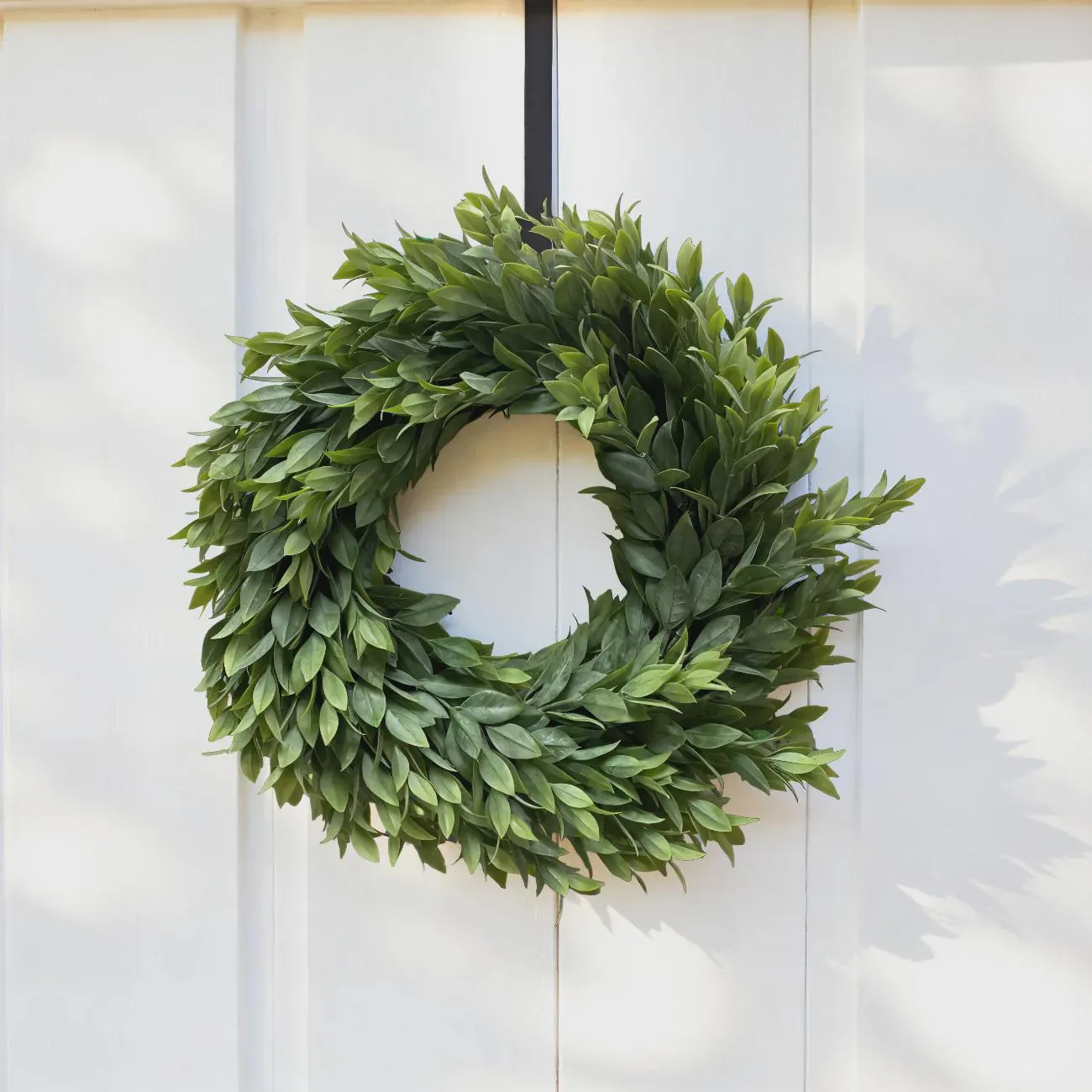 12" Ruscus Wreath/Greenery/Evergreen/all Season/Spring decor/Holiday Decor/