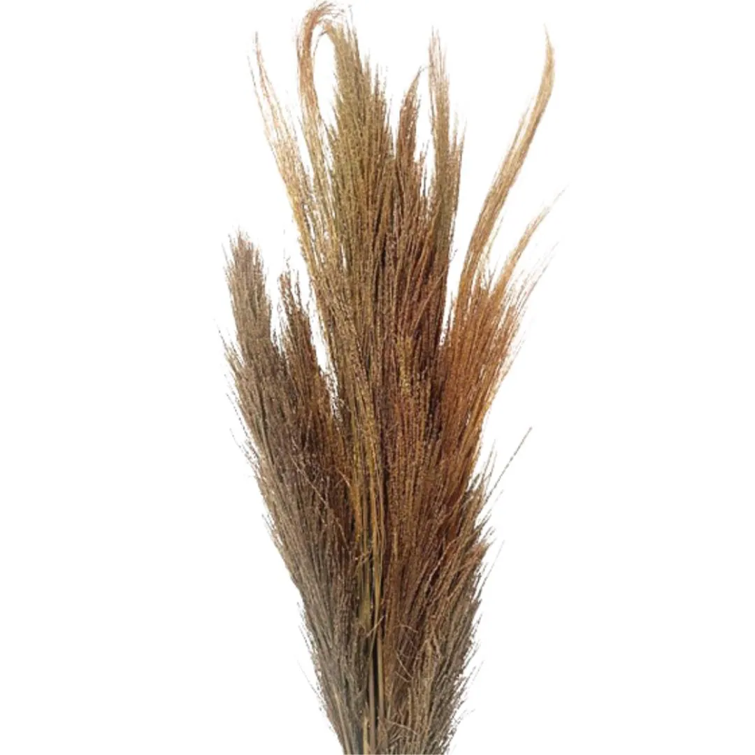 42" Natural Broom Grass/Branches/Centerpiece decor/ Winter wonderland/Decoration Branches/Gold Branches/Home Decor