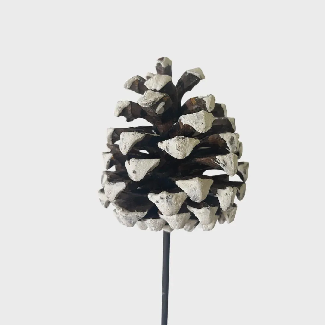 5"-7" White Tip Pine Cones On Stems/Cones/Pine Cones On Sticks/Rustic Decor Idea/Rustic Bowl Filler/Wicker Decoration/Rustic Table Decor