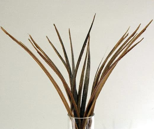 16"-18" Natural Coco Grass/Branches/Centerpiece decor/ Winter wonderland/Decoration Branches/Gold Branches/Glitter Branches