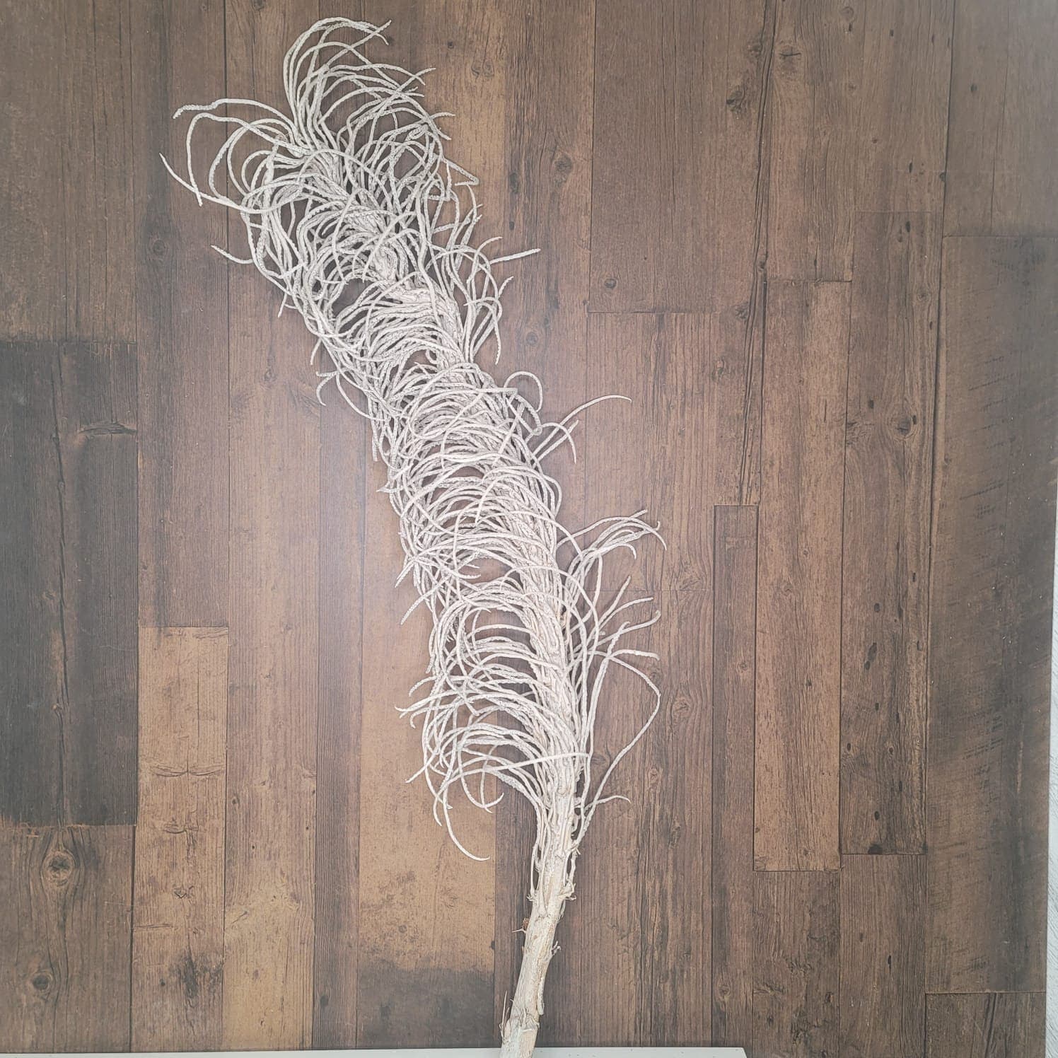 4FT WHITE CACHO INGASSO Branch/Decorative Branch/Rustic Decor/Home Decoration/Home Decor/Wedding/Wedding Centerpiece/Vase Decor/Vase Fillers