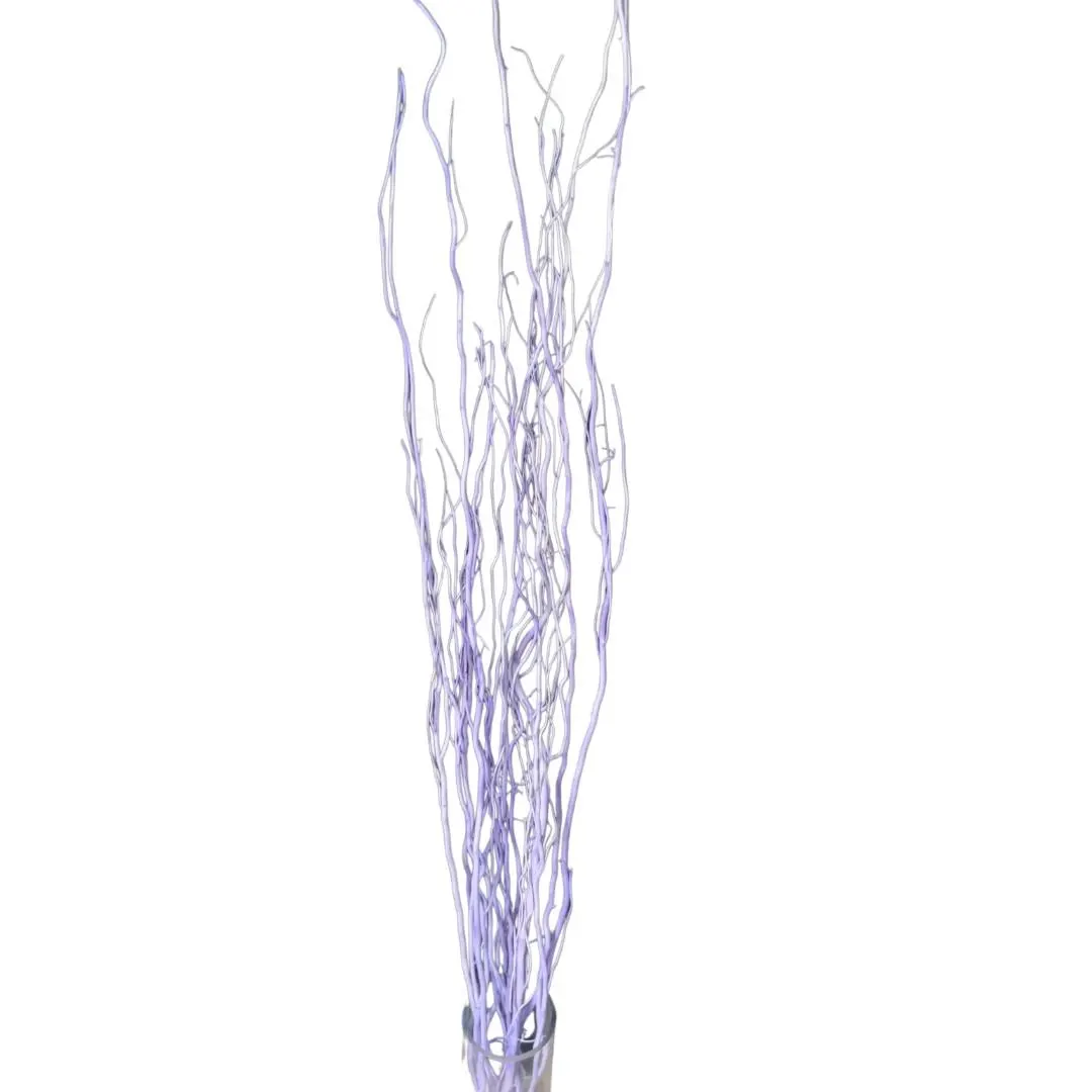 Lilac Curly Willow Branches