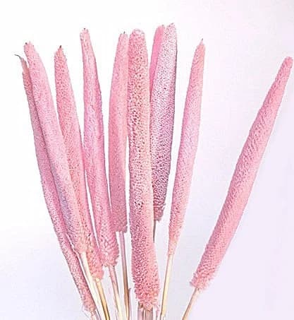 28" Light Pink Babala on Sticks/Branches/Centerpiece decor/ Winter wonderland/Decoration Branches/Gold Branches/Home Decor