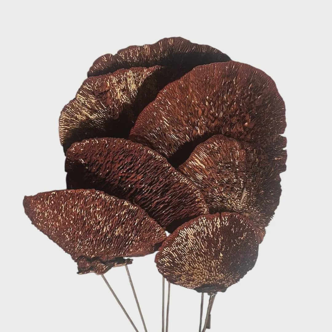 7PC Brown Sponge Mushroom/Curly Twigs/Branches/Centerpiece decor/Decoration Branches/Gold Branches/Glitter Branches/Silver Branches