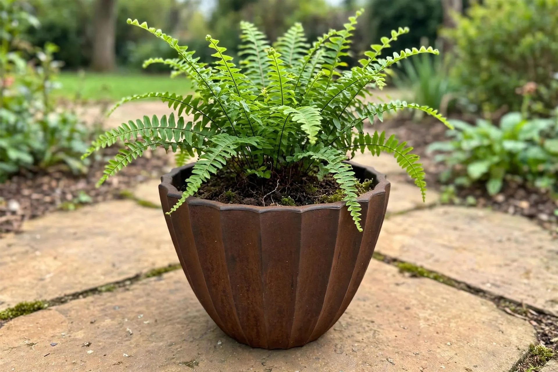 Eco Plastic Scalloped Pot Rust 13x11.4 Inch | Fluted Bowl Planter Wavy Rim | Garden Pot