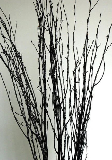 22-30" Black Birch SPARKLE Deco Twigs/Branches/Centerpiece decor/ Decoration Branches/Gold Branches/Glitter Branch/ Branches/Rustic Decor
